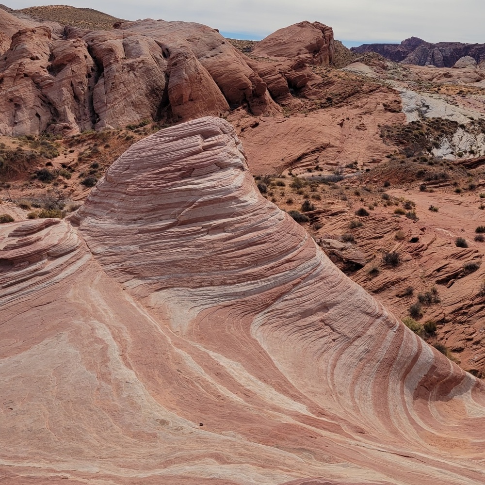 Meet your Posher, Carol